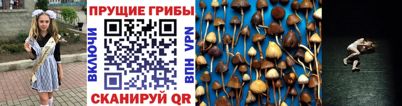 площадка формула  Евпатория  Галлюциногенные грибы мицелий 