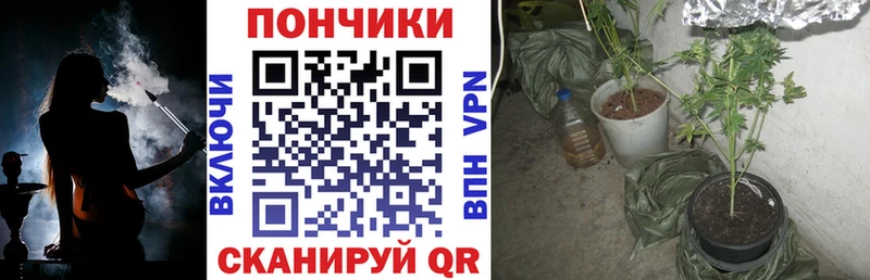 хочу наркоту Евпатория Каннабис ГИДРОПОН
